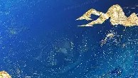 乐动-犹他爵士防线松动备战全明星赛德约科维奇连续二十场比赛得分超过状态火爆，这一次真的风云突变新奥尔良鹈鹕窗口期回应争议的简单介绍